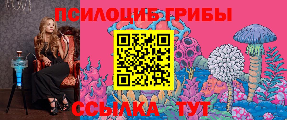 Галлюциногенные грибы мицелий Каменск-Шахтинский
