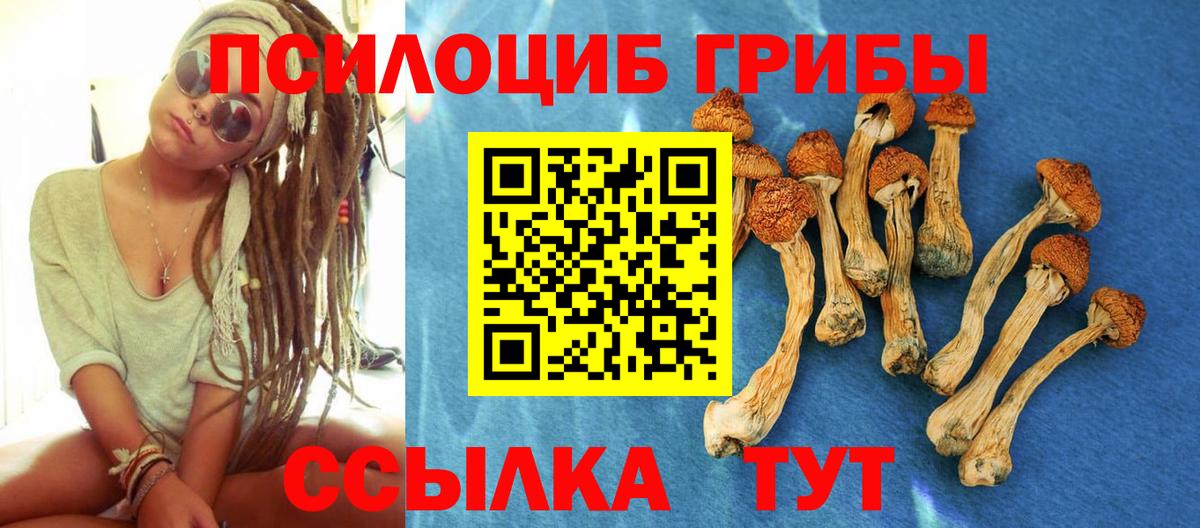 Каменск-Шахтинский  Галлюциногенные грибы GOLDEN TEACHER  Вход с VPN 
